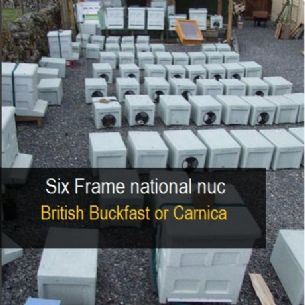 Six Frame Nuc Of British Bees 2016